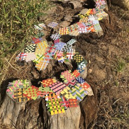 Site-specific Installation - 2018 | Found paper on tree stumps, Lake Tahoe, CA