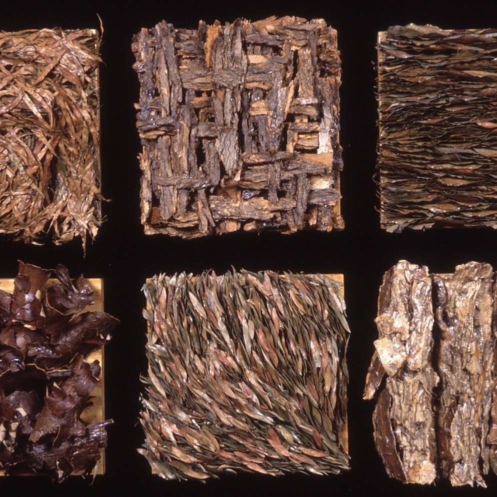 Migration – 1998 | Tree bark and leaves on six wood panels | 33 x 51 in | Private Collection, Los Angeles, CA