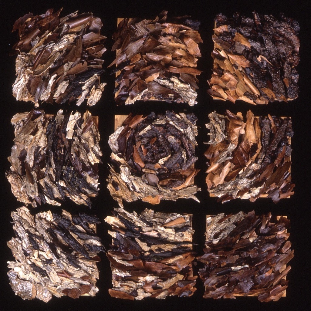 Artichoke – 1998 | Tree bark, acrylic medium and wood glue on nine wood panels | 51 x 51 in | Private Collection, Los Angeles, CA